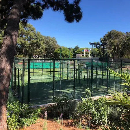 Da Falesia - Falesia - Pine Sun Park Apartment *